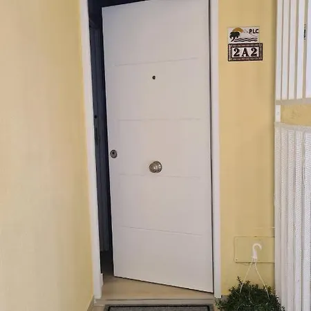 Mariposa Azul Daire *