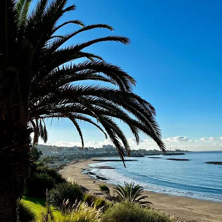 Daire Mariposa Azul *