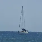Mariposa Azul *